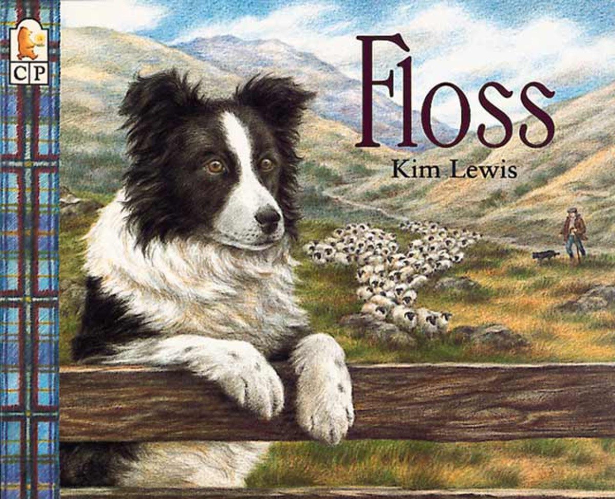9781564022714 Floss