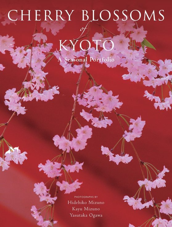 A Seasonal Portfolio: Cherry Blossoms of Kyoto