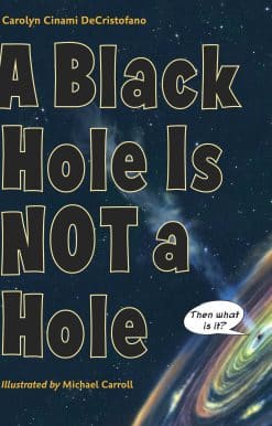 A Black Hole Is Not a Hole