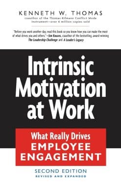 Intrinsic Motivation at Work: Building Energy and Commitment