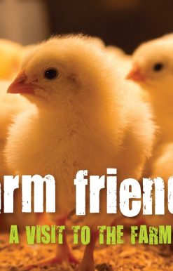 Farm Friends: A Visit to the Farm