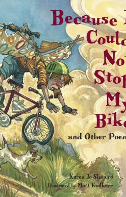 Because I Could Not Stop My Bike