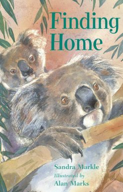 Finding Home