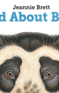 Wild About Bears