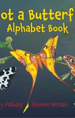 Not a Butterfly Alphabet Book: It's About Time Moths Had Their Own Book!
