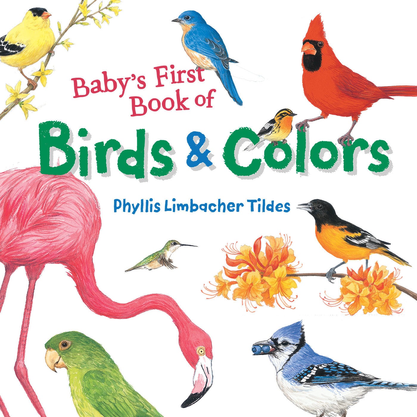 9781580897426 Baby's First Book of Birds & Colors