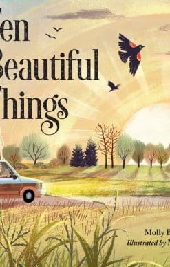 Ten Beautiful Things