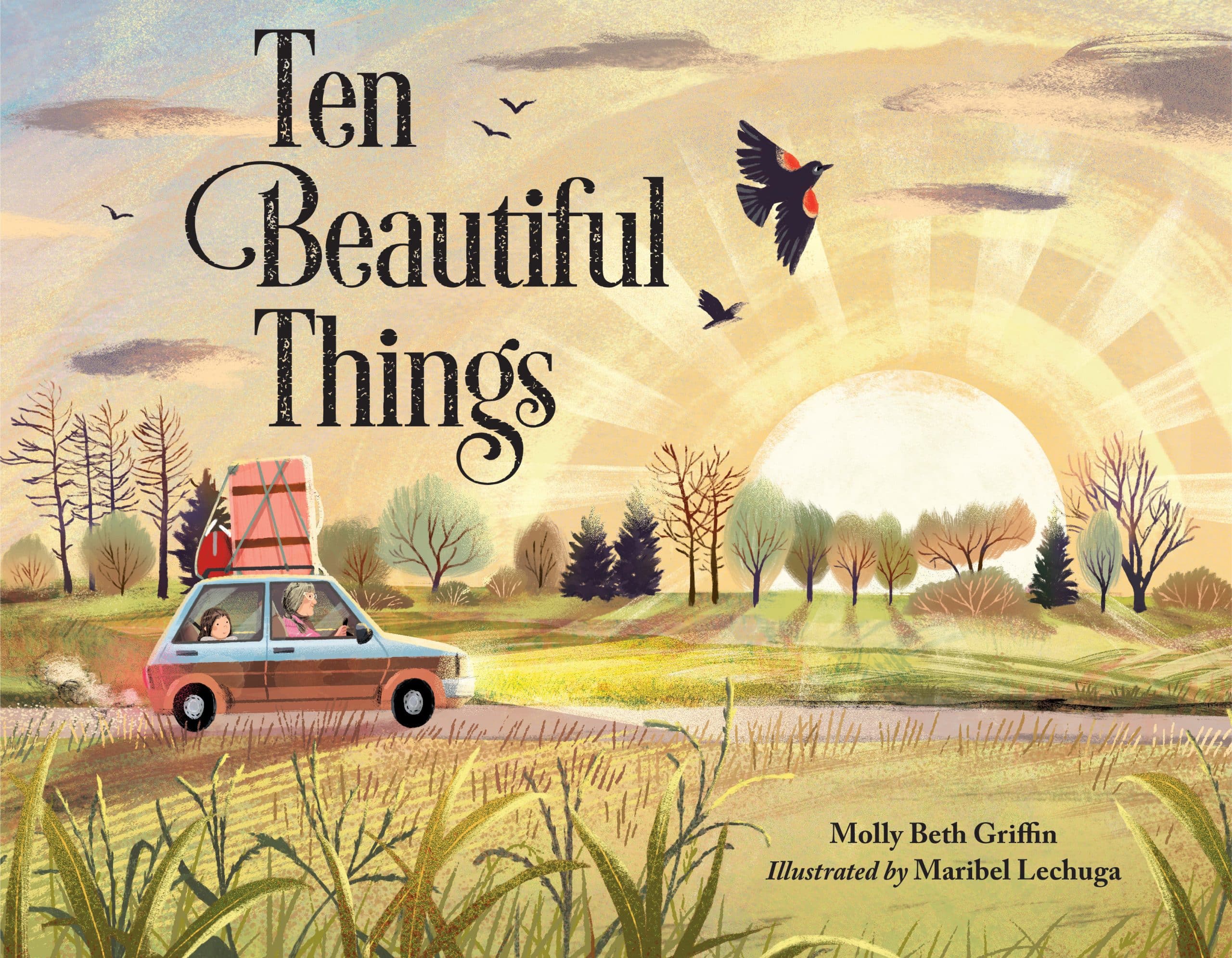 9781580899369 Ten Beautiful Things
