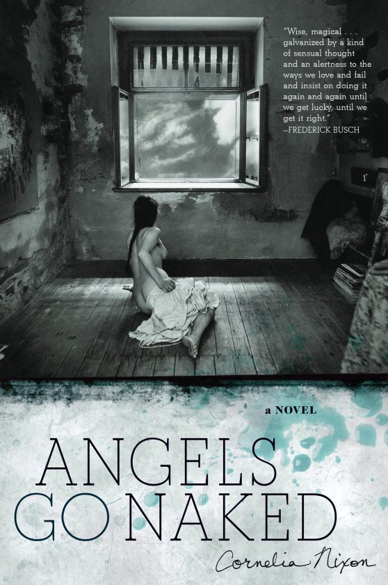 Angels Go Naked: A Novel in Stories