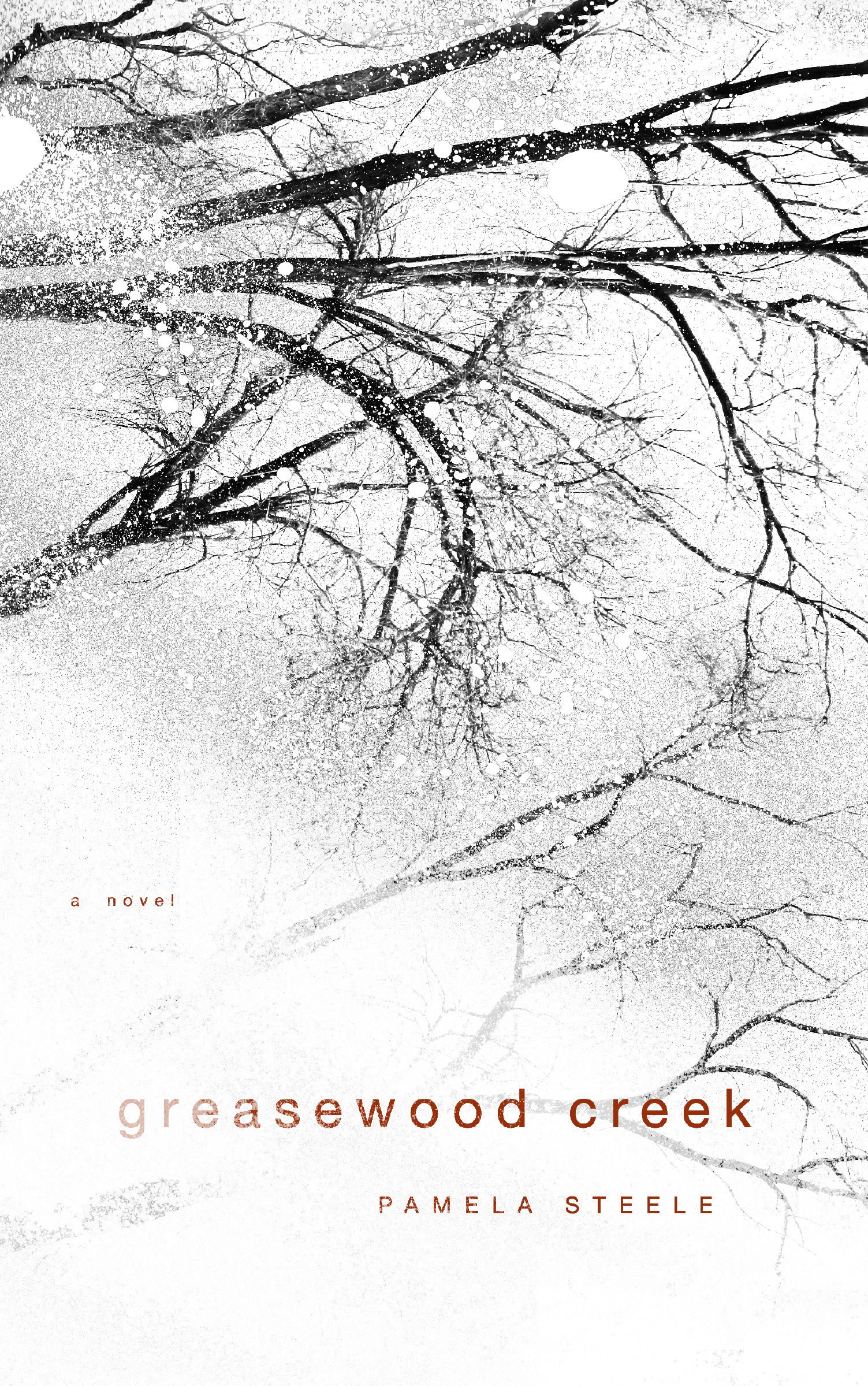 9781582437705 Greasewood Creek:
