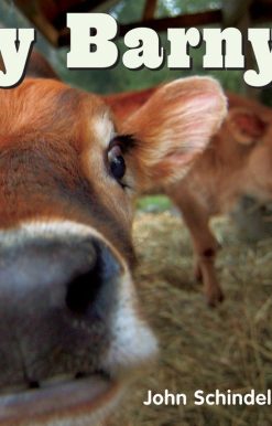 Busy Barnyard