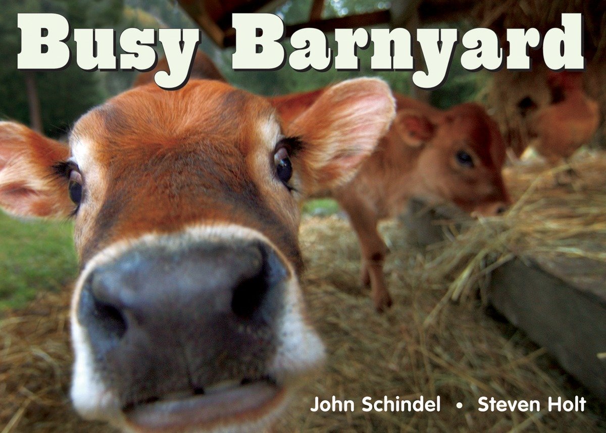 9781582461687 Busy Barnyard