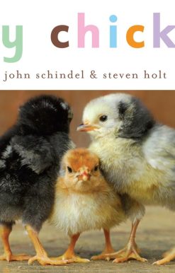 Busy Chickens