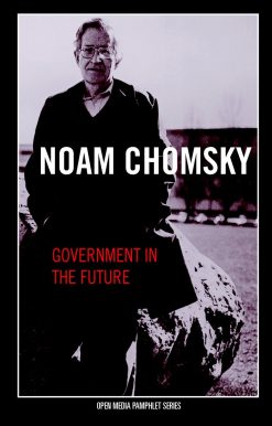 Government in the Future