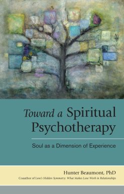 Toward a Spiritual Psychotherapy: Soul as a Dimension of Experience