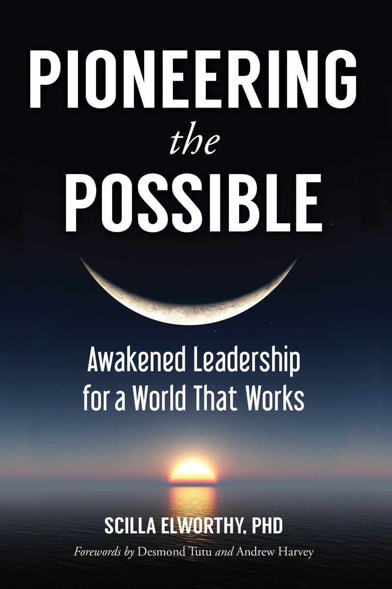 9781583948620 Pioneering the Possible: Awakened Leadership for a World That Works