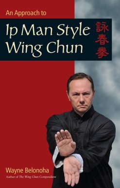 An Approach to Ip Man Style Wing Chun