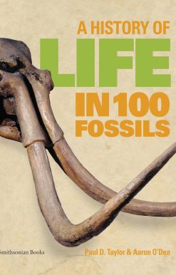 A History of Life in 100 Fossils