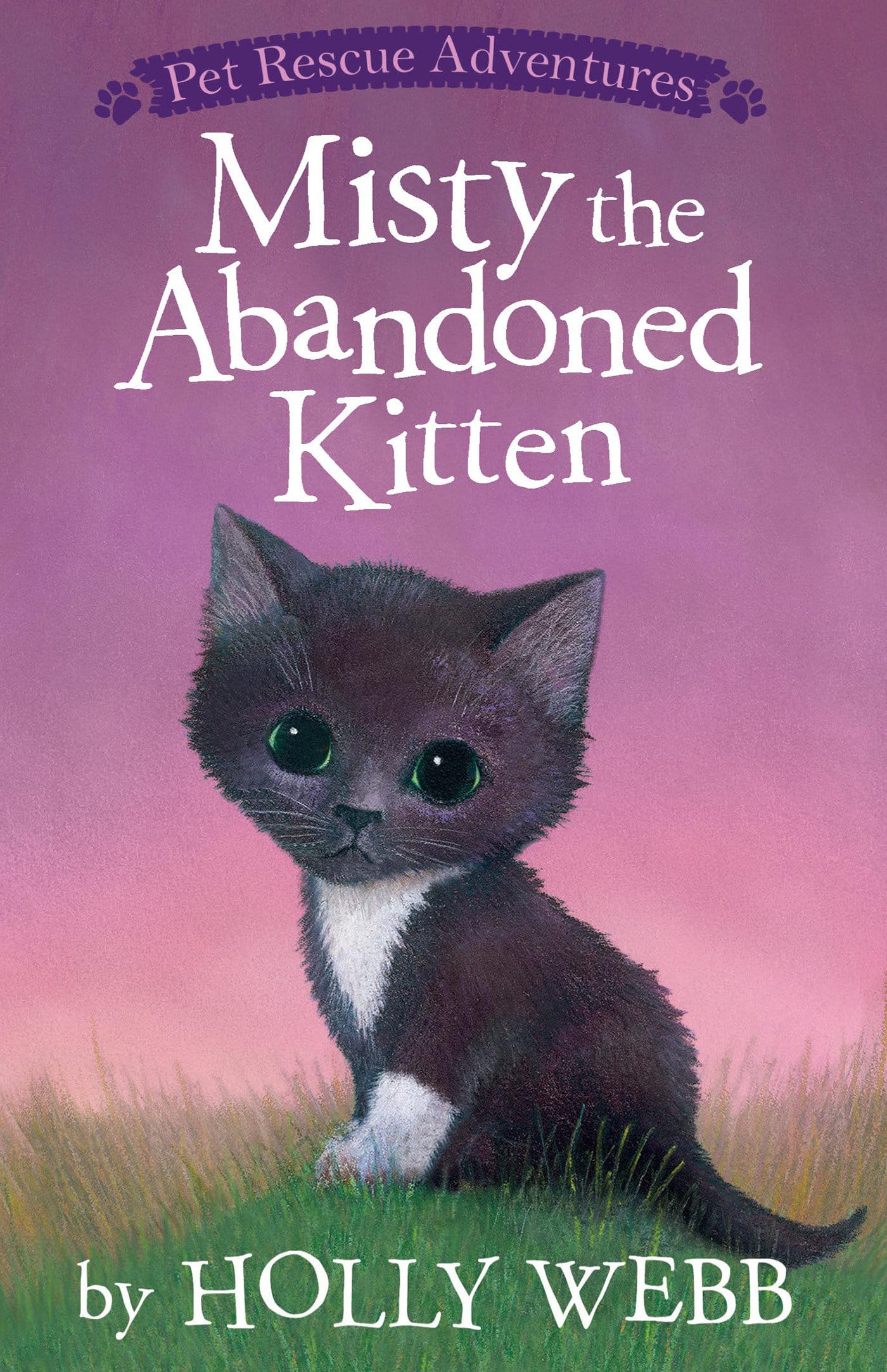 9781589254893 Misty the Abandoned Kitten