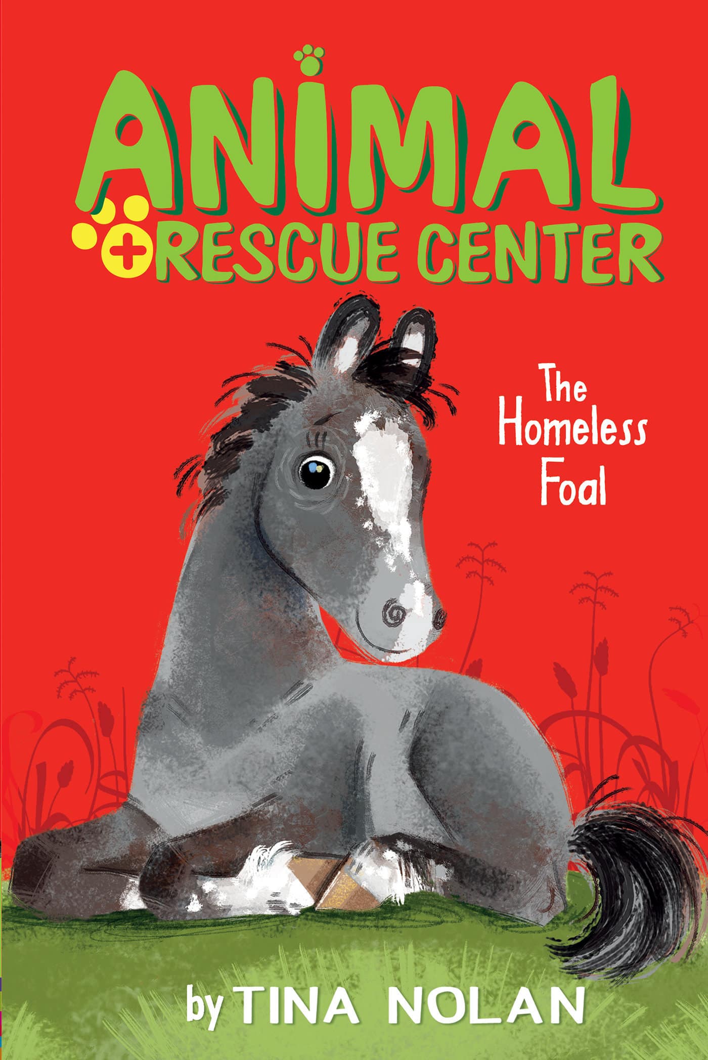 9781589254985 The Homeless Foal