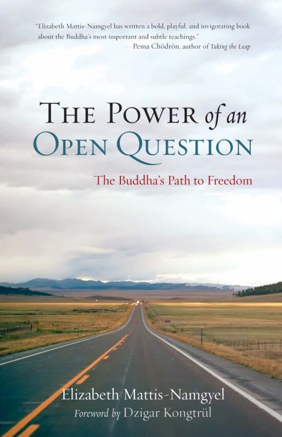 The Buddha's Path to Freedom: The Power of an Open Question