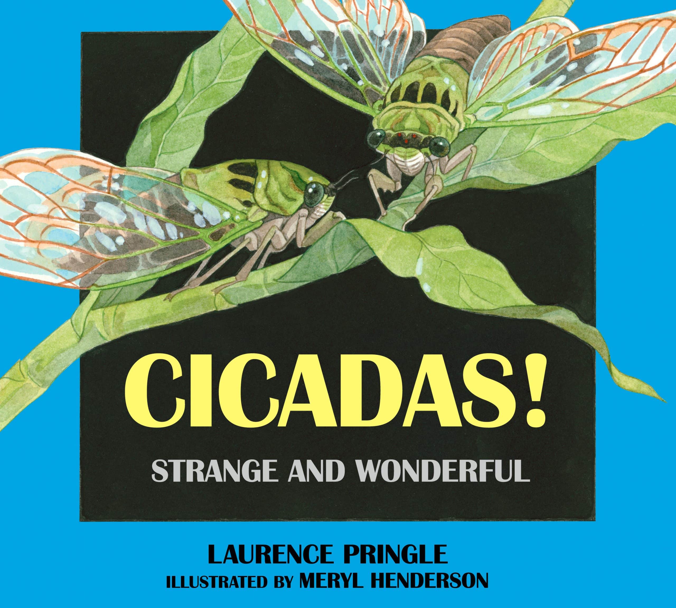 9781590786734 Cicadas!: Strange and Wonderful