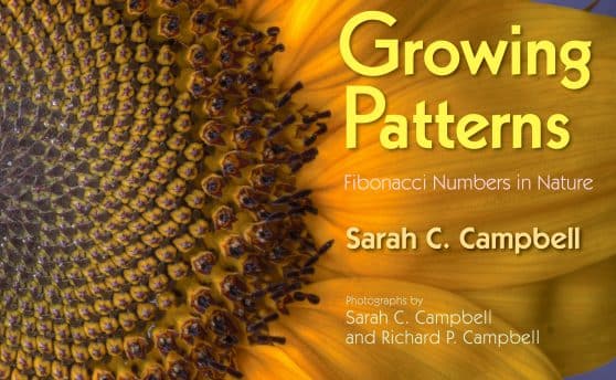 Fibonacci Numbers in Nature: Growing Patterns