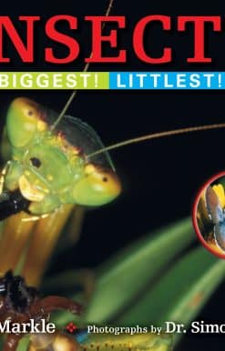 Insects: Biggest! Littlest!