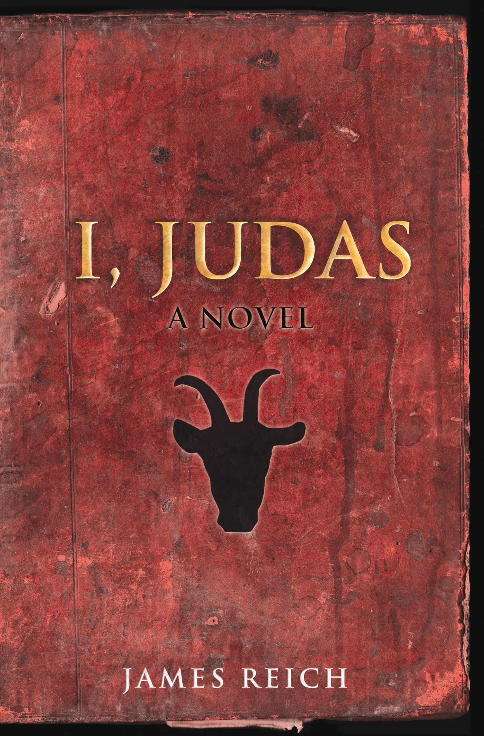 9781593764210 I, Judas: A Novel