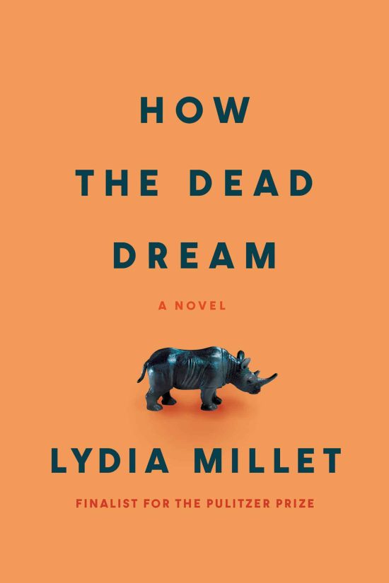 A Novel: How the Dead Dream