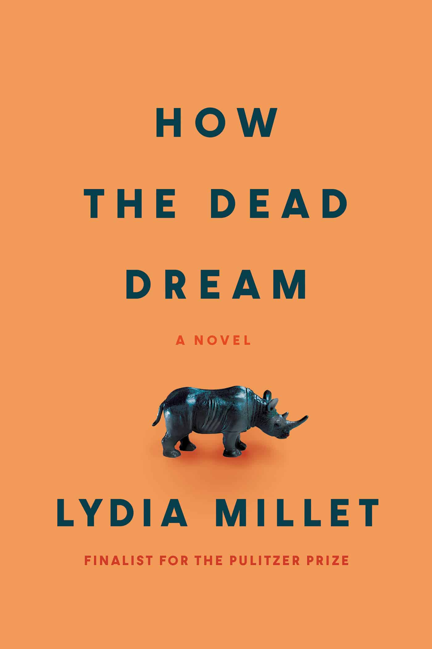 9781593767907 A Novel: How the Dead Dream