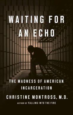 Waiting for an Echo: The Madness of American Incarceration