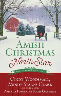 Amish Christmas at North Star: Four Stories of Love and Family