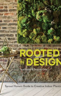 Rooted in Design: Sprout Home's Guide to Creative Indoor Planting
