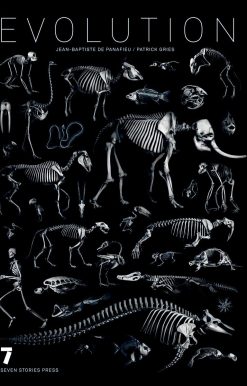 Evolution