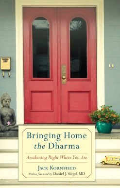 Awakening Right Where You Are: Bringing Home the Dharma