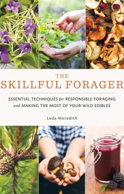 The Skillful Forager: Essential Techniques for Responsible Foraging and Making the Most of Your Wild Edibles