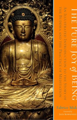 The Pure Joy of Being: An Illustrated Introduction to the Story of the Buddha and the Practice of Meditation