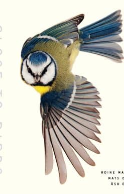 Close to Birds: An Intimate Look at Our Feathered Friends