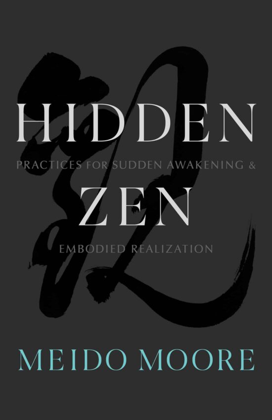 Practices for Sudden Awakening and Embodied Realization: Hidden Zen