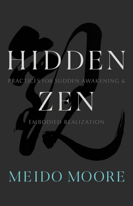 Practices for Sudden Awakening and Embodied Realization: Hidden Zen