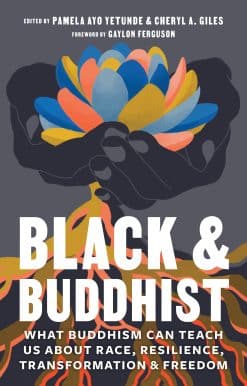 Black and Buddhist: What Buddhism Can Teach Us about Race, Resilience, Transformation, and Freedom