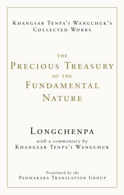 The Precious Treasury of the Fundamental Nature