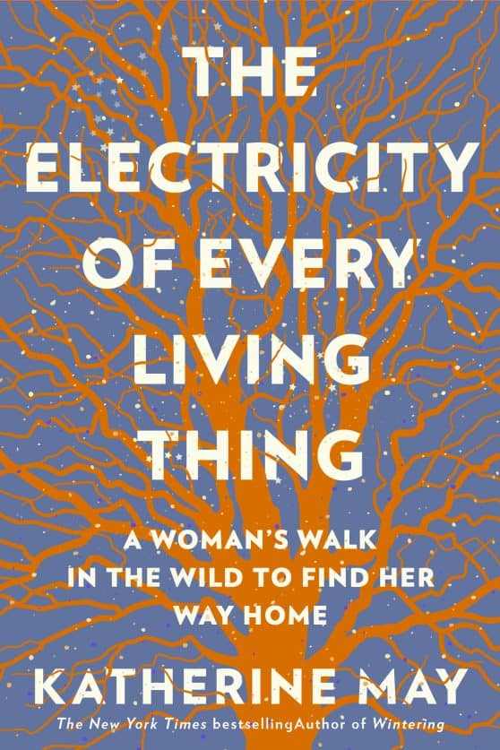 A Woman’s Walk In The Wild To Find Her Way Home : The Electricity of Every Living Thing
