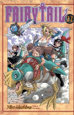 FAIRY TAIL 11: