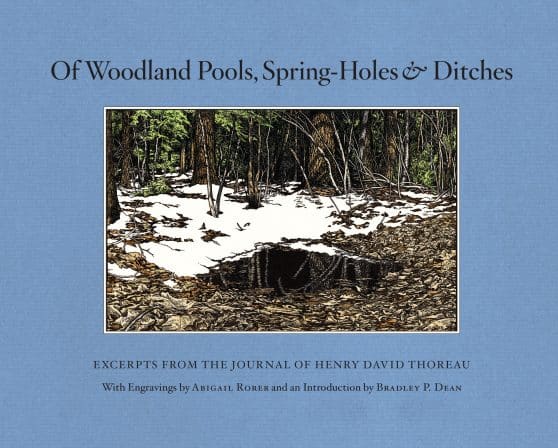 Excerpts from the Journal of Henry David Thoreau: Of Woodland Pools, Spring-Holes and Ditches