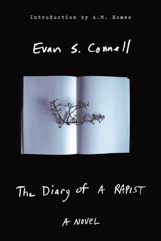 A Novel: The Diary of a Rapist