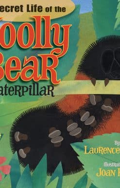 The Secret Life of the Woolly Bear Caterpillar