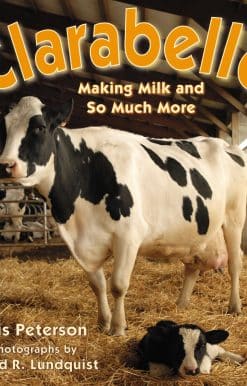 Making Milk and So Much More: Clarabelle