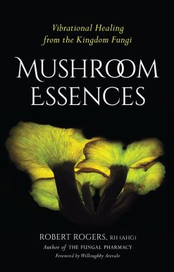 Mushroom Essences: Vibrational Healing from the Kingdom Fungi